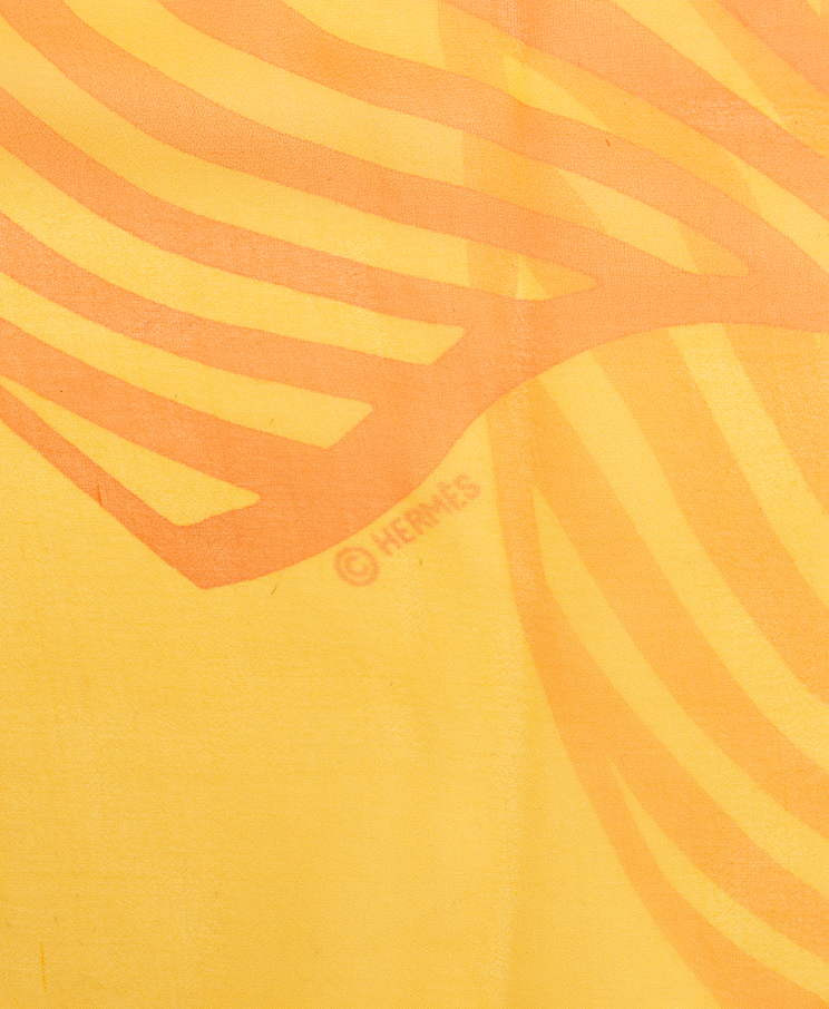 Hermes Scarf