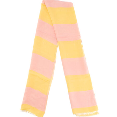 Hermes Scarf