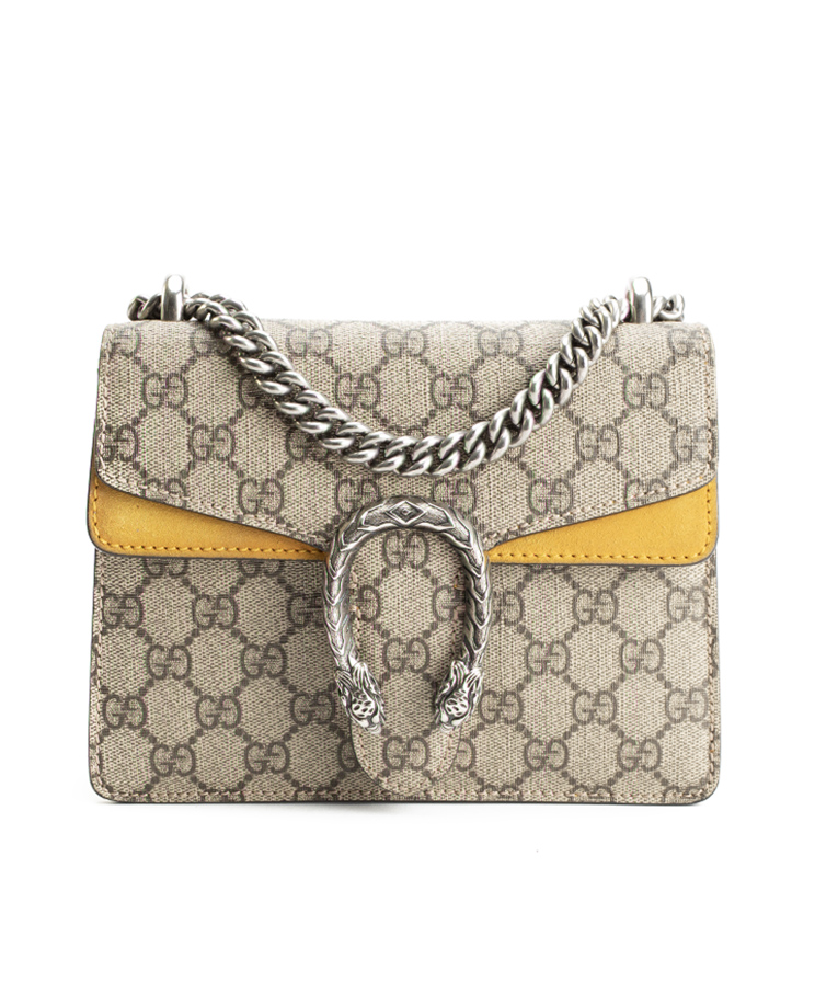 Gucci Dionysus Mini