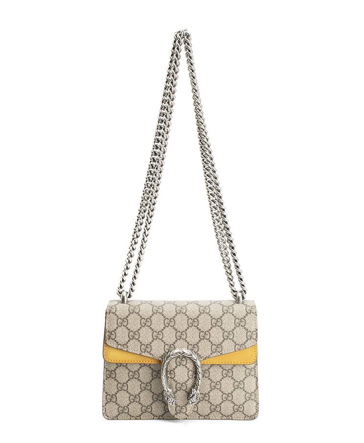 Gucci Dionysus Mini
