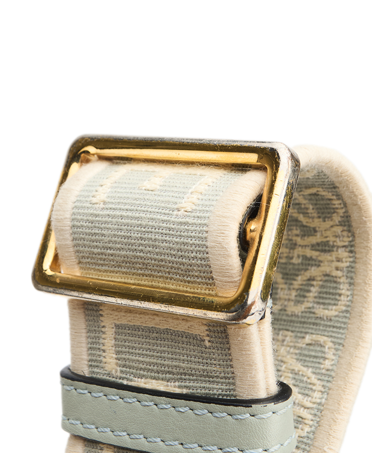 Loewe Shoulder Strap
