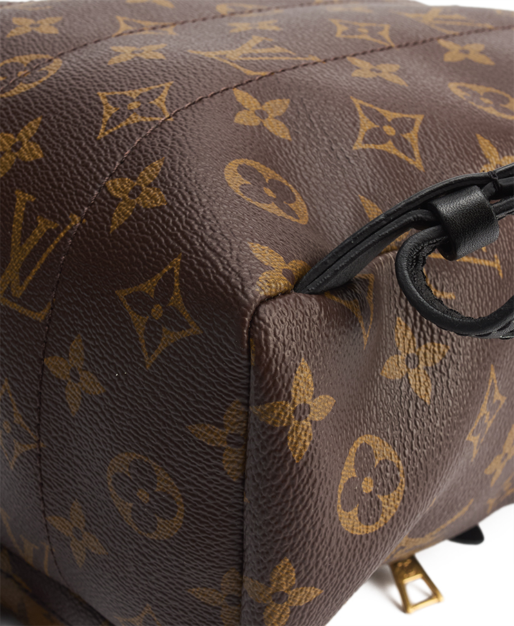 Louis Vuitton Palm Springs PM