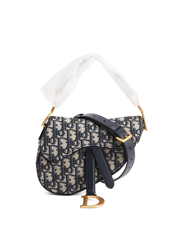 Dior Saddle Mini