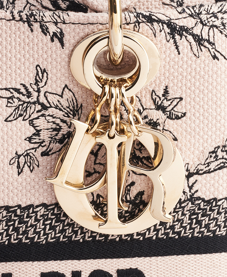 Dior Lady D-Lite Medium