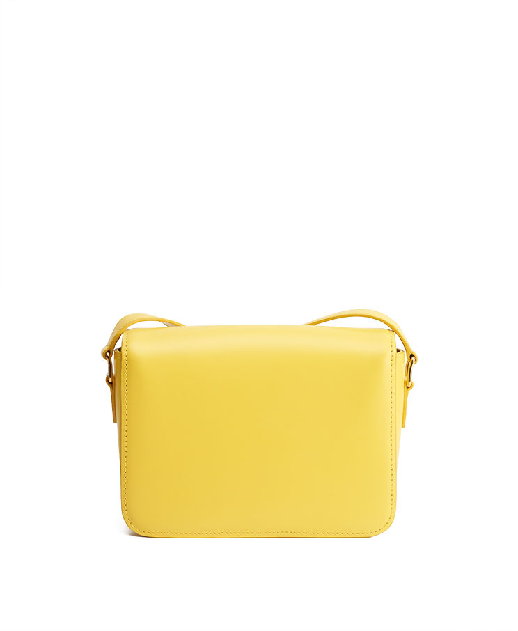 Celine Triomphe Bag Teen