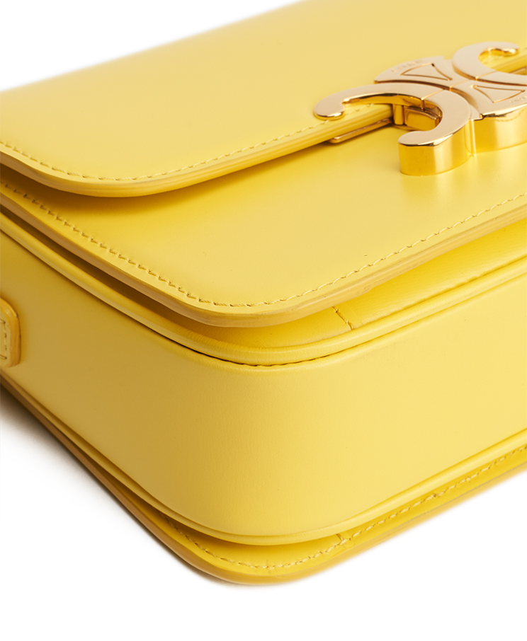 Celine Triomphe Bag Teen
