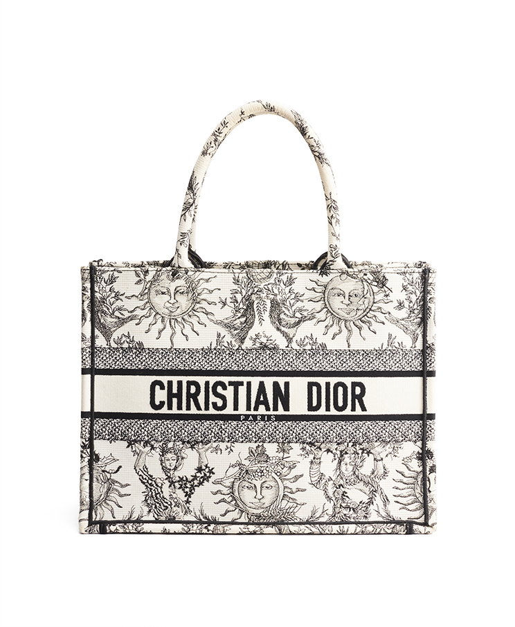 Dior Book Tote Medium