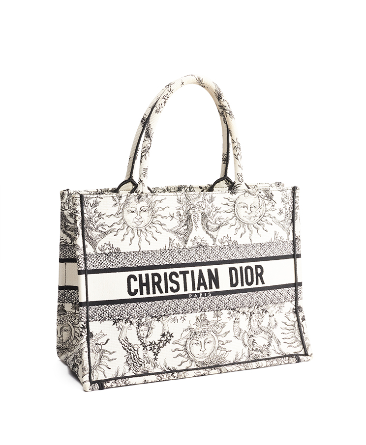 Dior Book Tote Medium