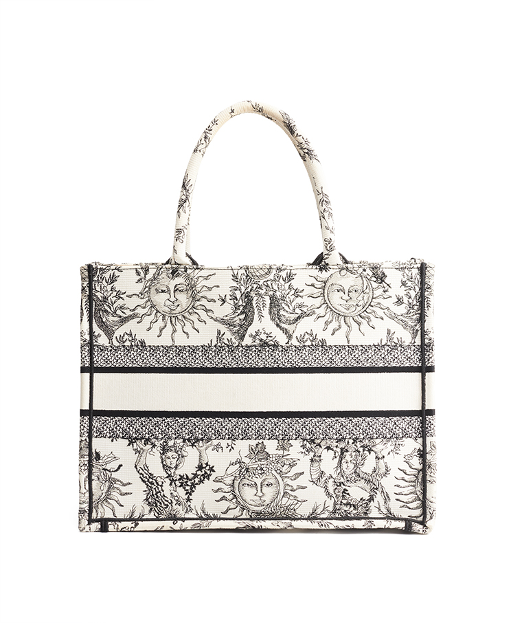 Dior Book Tote Medium