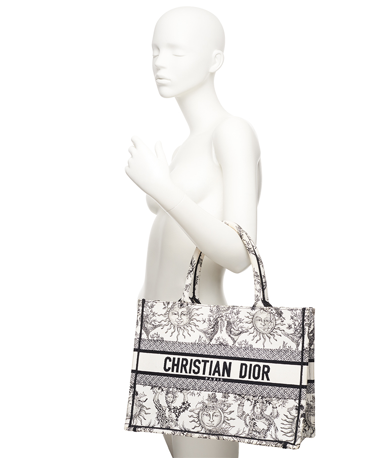Dior Book Tote Medium