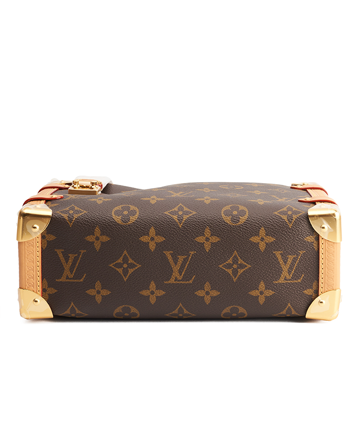 Louis Vuitton Side Trunk MM