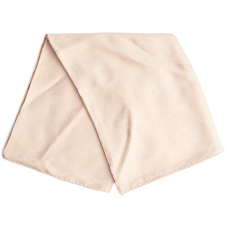 Louis Vuitton LV Monogram Stole