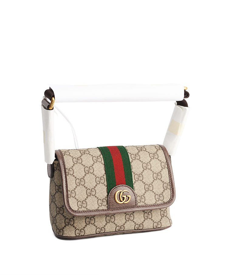 Gucci Ophidia Bag Mini