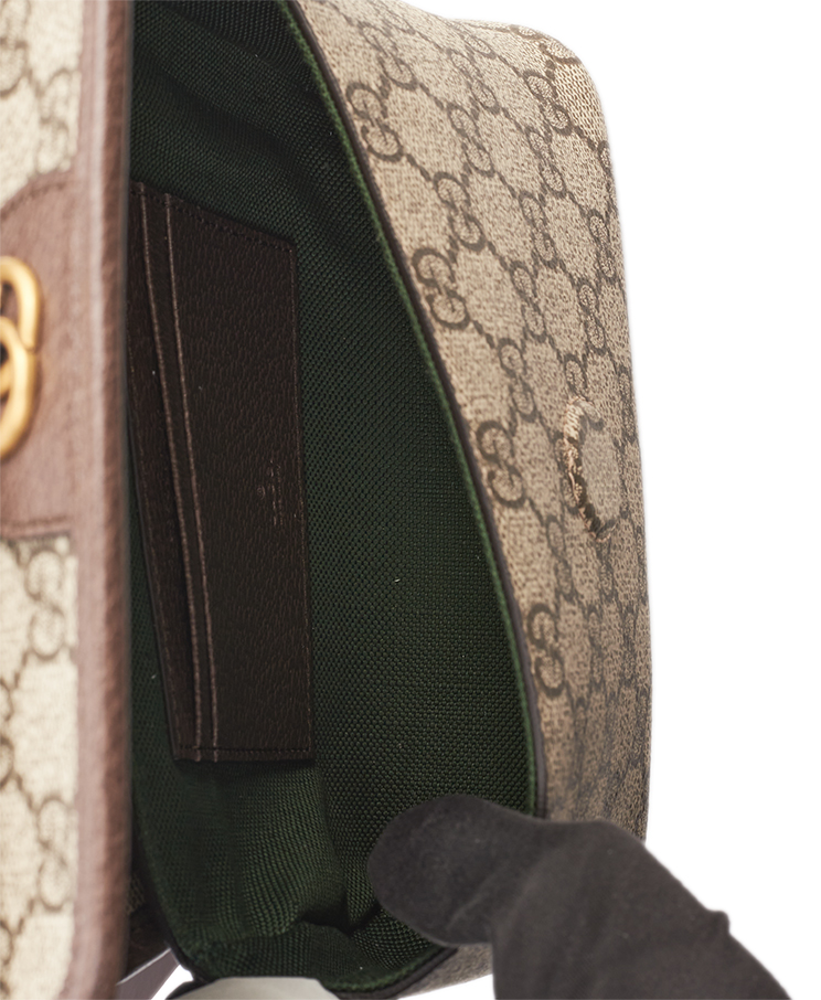 Gucci Ophidia Bag Mini
