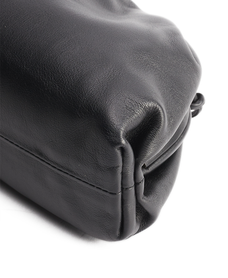 Bottega Veneta The Pouch Mini
